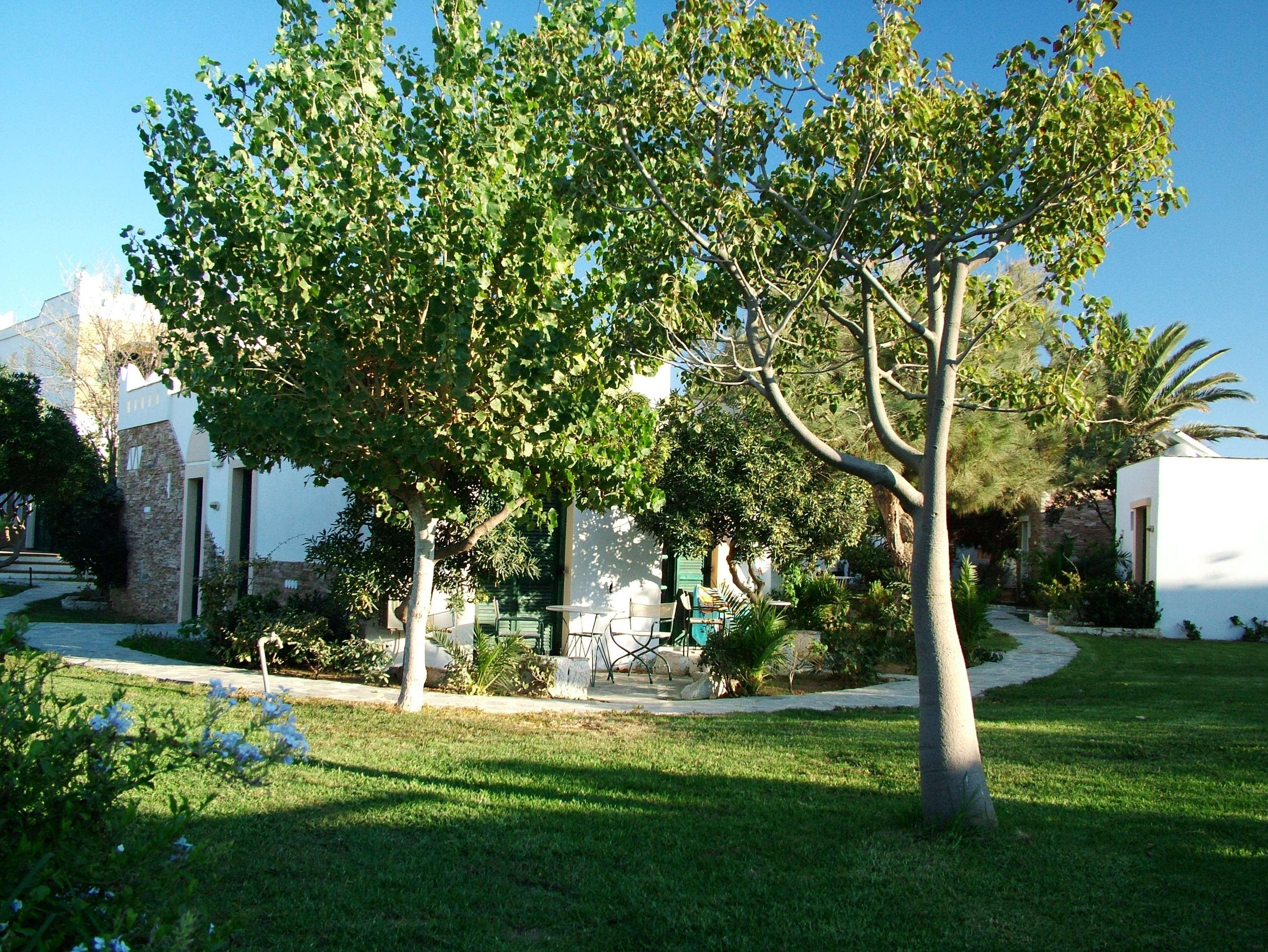 Hotel Naxos Beach Naxos City Esterno foto