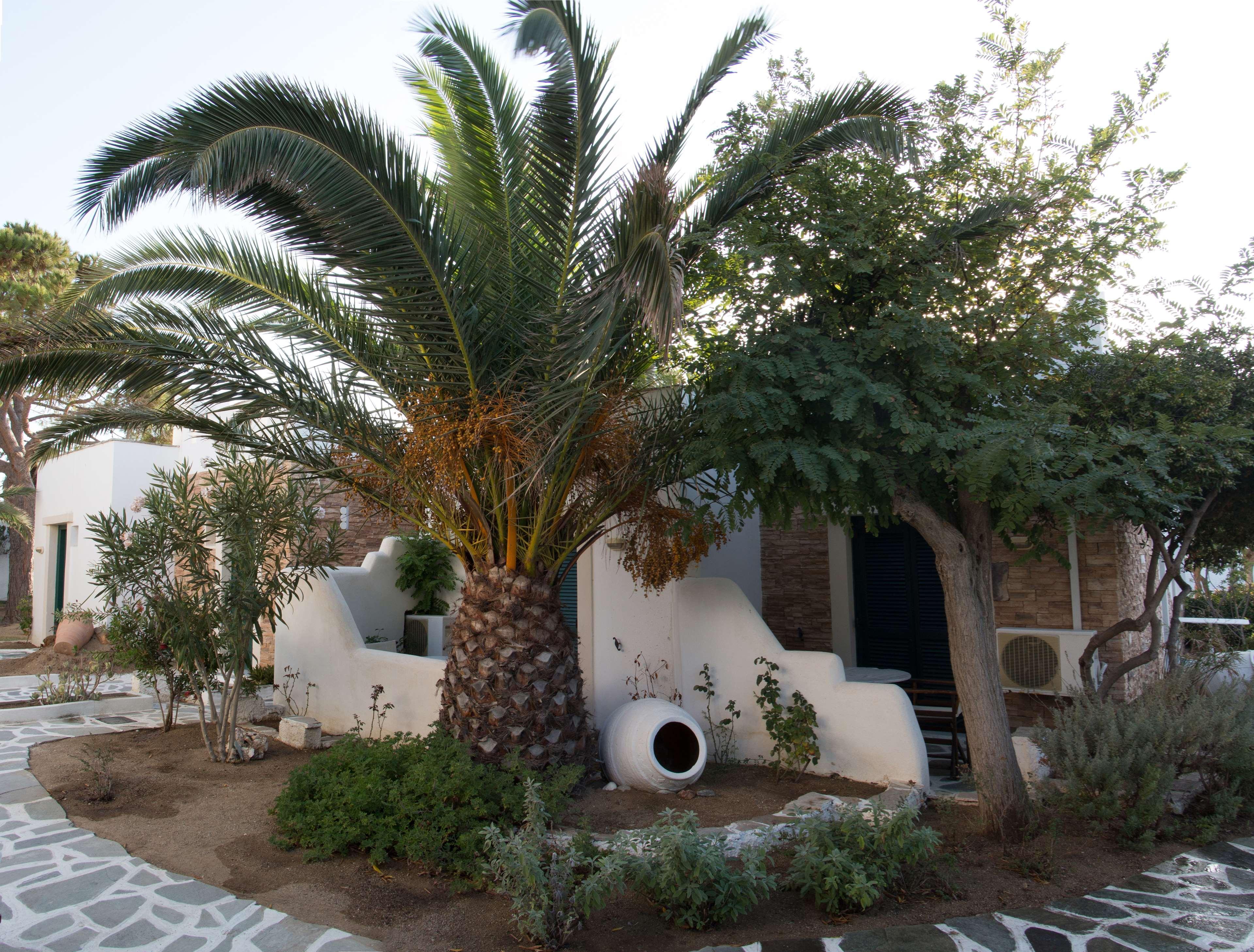 Hotel Naxos Beach Naxos City Esterno foto
